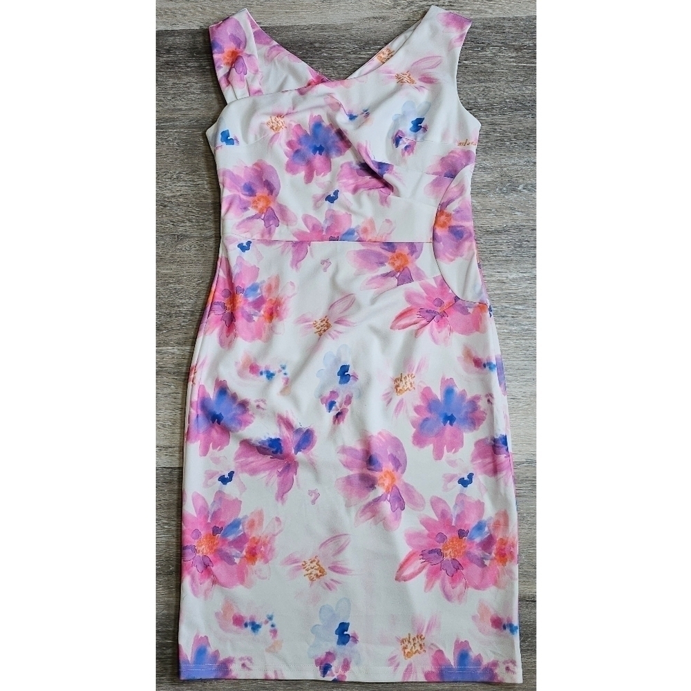 NWT Belle Poque Retro Ruched Floral Dress